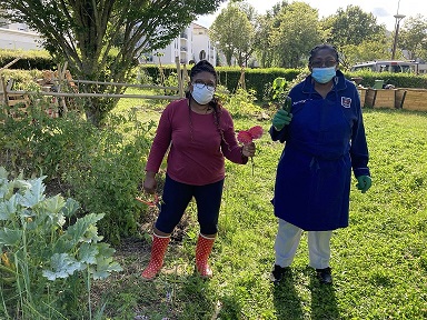 [Laudato Si’ en action] Les jardins partagés de Bussy-Saint-Georges