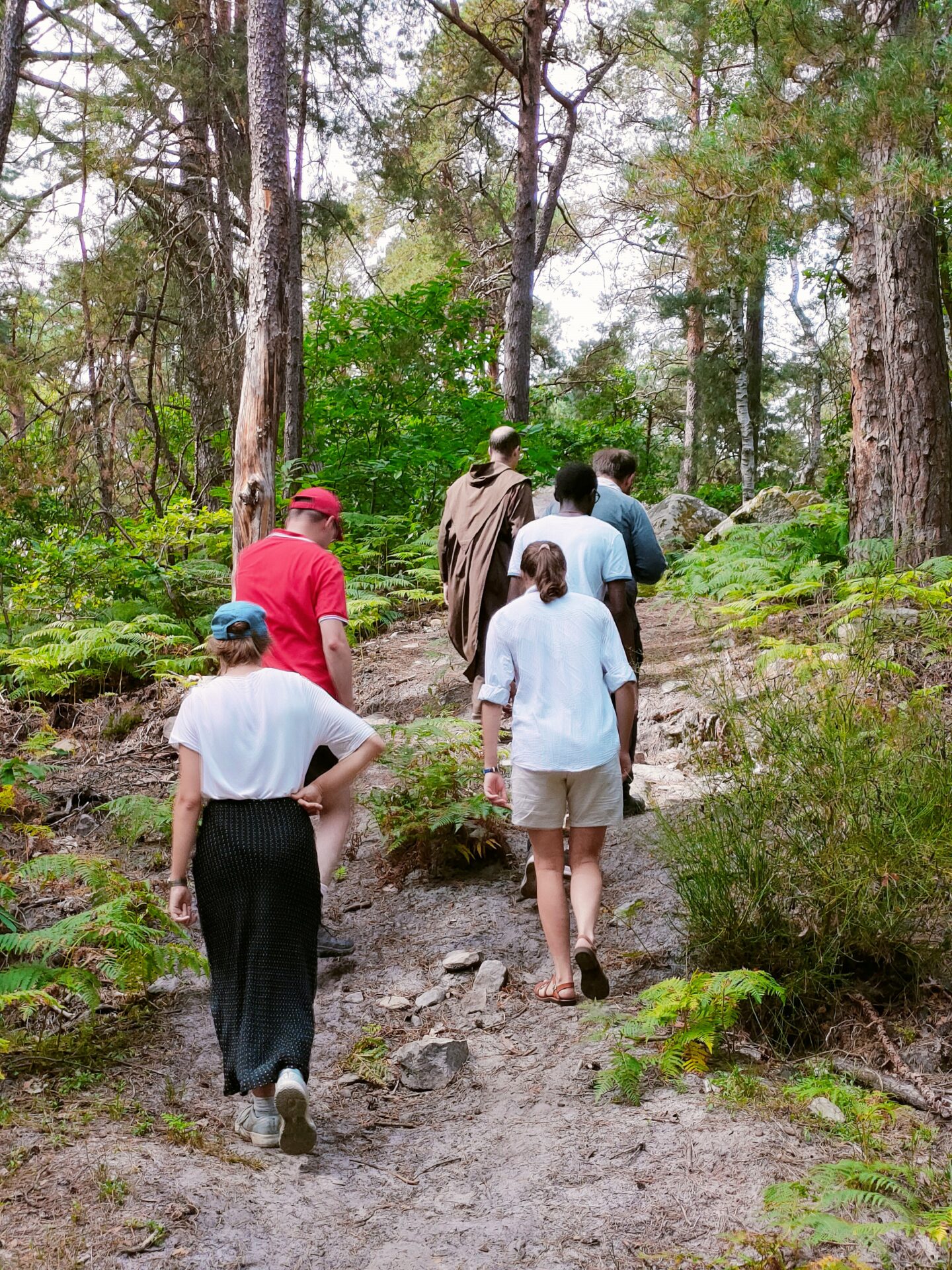 Campus Laudato Si : prochaines sessions