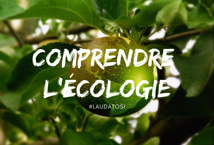 [Laudato Si’ en action] Comprendre l’écologie