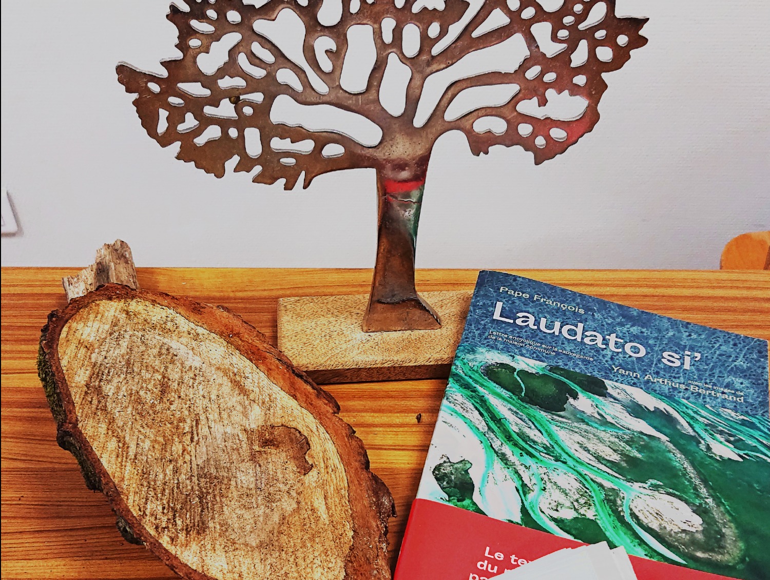 Campus Laudato Si 77 – Session 1 : La relation à la Création