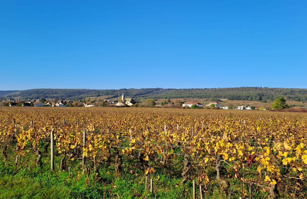 Pèlerinage Bourgogne diocèse de Meaux